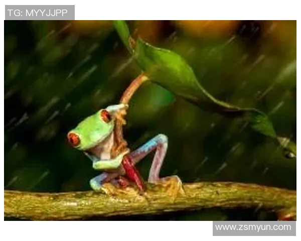 足球明星兔子形象大集合可爱与激情并存的奇妙世界